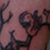 Tattoos & Piercing von TATsache Tattoo & Piercing Tübingen
