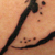 Tattoos & Piercing von TATsache Tattoo & Piercing Tübingen
